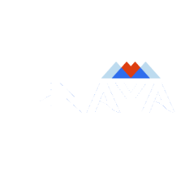 Tenaya Therapeutics, Inc. Share Price